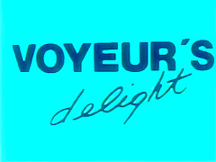 Voyeur’s Delight (1986) FULL VINTAGE MOVIE